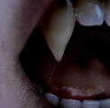 vampire